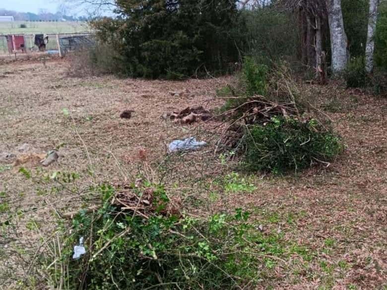 Cut brush piled up on cleared ground, ready to be hauled off